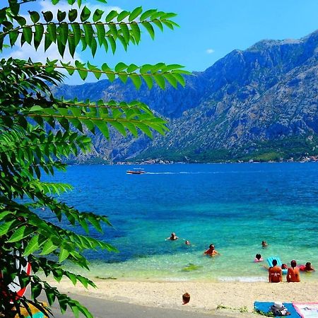 Bay Of Kotor View Apartment With Pool Prčanj Esterno foto