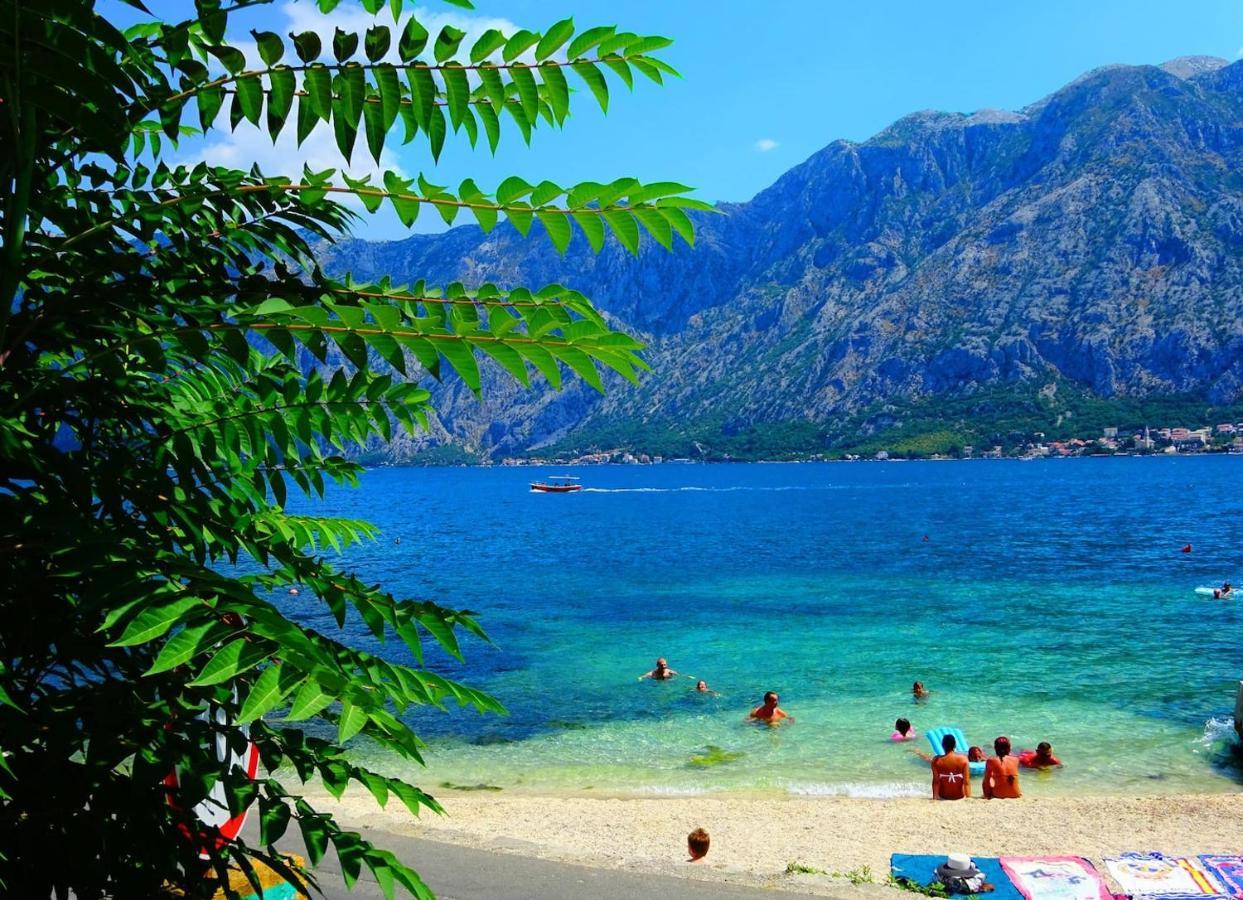 Bay Of Kotor View Apartment With Pool Prčanj Esterno foto